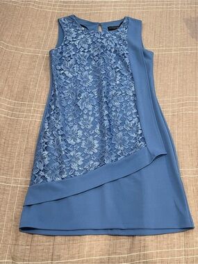 Enfocus Studio Blue Lace-Front Mini Dress